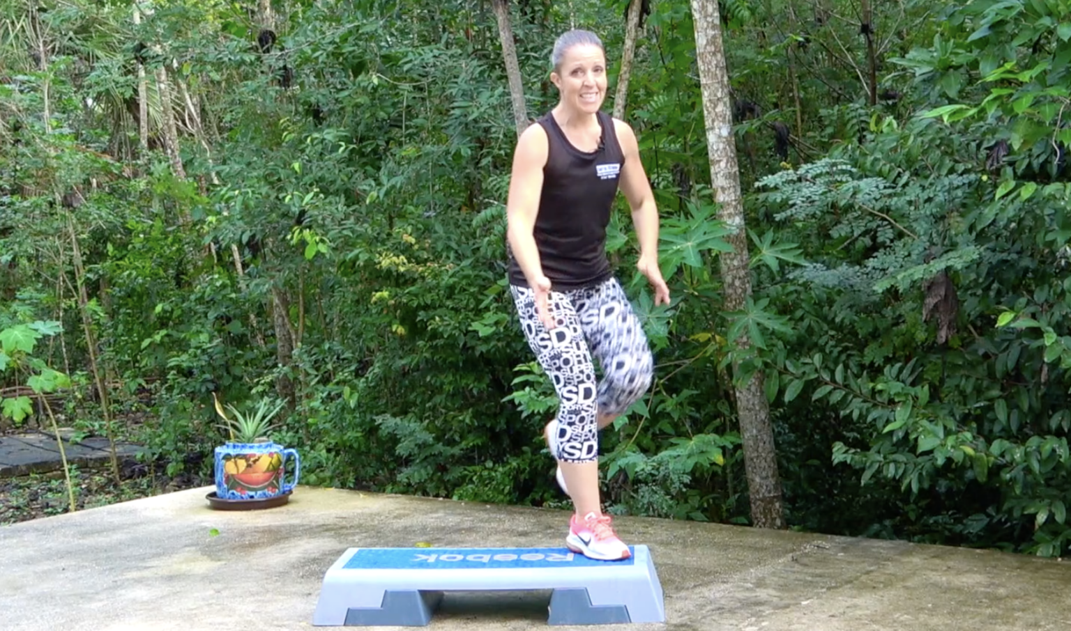 Step Package - SanFran Fitness